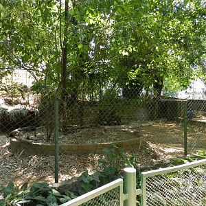 Empty exhibit - Campinas zoo (BDJ)