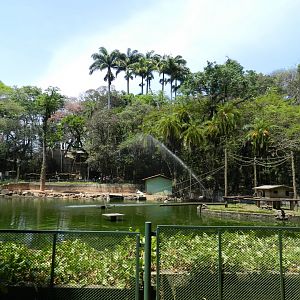 View of the main lake - Campinas zoo (BDJ)