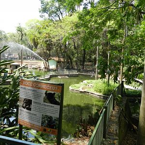Empty island and signs - Campinas zoo (BDJ)
