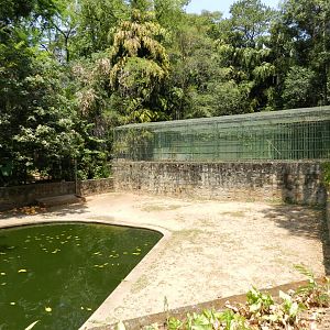 Hippo exhibit - Campinas zoo (BDJ)