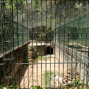 Big cat cage example (now empty) - Campinas zoo (BDJ)