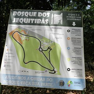 Zoo map - Campinas zoo (BDJ)