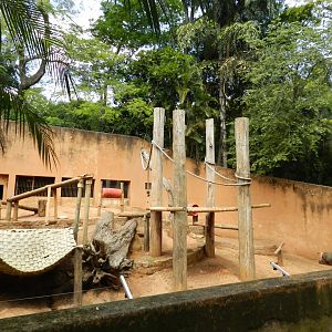 Hamadryas baboon exhibit - Sorocaba zoo (PZMQB)