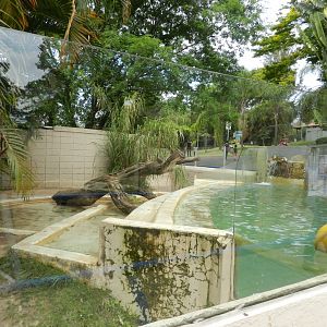 Giant otter exhibit - Sorocaba zoo (PZMQB)