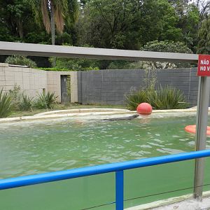 Neotropical otter exhibit - Sorocaba zoo (PZMQB)