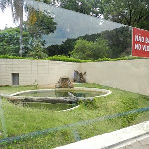 Broad-snouted caiman exhibit - Sorocaba zoo (PZMQB)