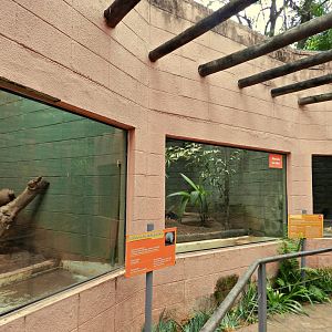 Small mammal corridor - Sorocaba zoo (PZMQB)