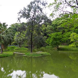 Broad-snouted caiman exhibit - Sorocaba zoo (PZMQB)
