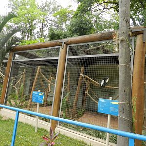 Hornbill and toucan aviaries - Sorocaba zoo (PZMQB)