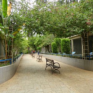 Psittacidae corridor - Sorocaba zoo (PZMQB)