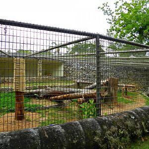 Jaguar exhibit - Sorocaba zoo (PZMQB)