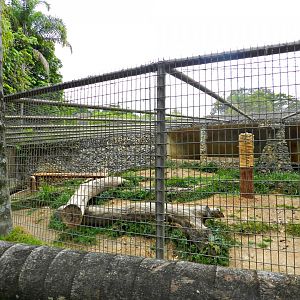 Bengal tiger exhibit - Sorocaba zoo (PZMQB)