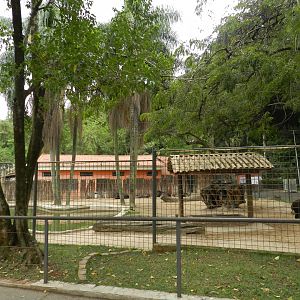 Tapir exhibit - Sorocaba zoo (PZMQB)