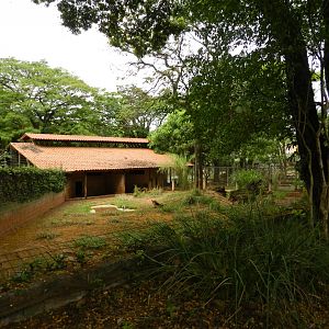 Maned wolf exhibit - Sorocaba zoo (PZMQB)