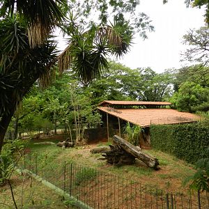 Giant anteater exhibit - Sorocaba zoo (PZMQB)