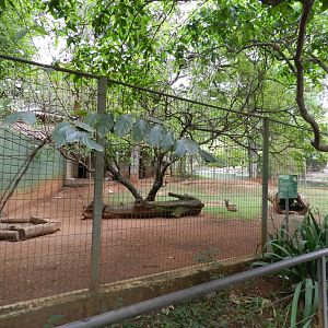 Brocket deer/agouti exhibit - Sorocaba zoo (PZMQB)