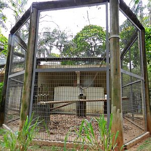 Mandrill exhibit - Sorocaba zoo (PZMQB)