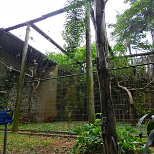 Black hawk-eagle/savanna hawk exhibit - Sorocaba zoo (PZMQB)