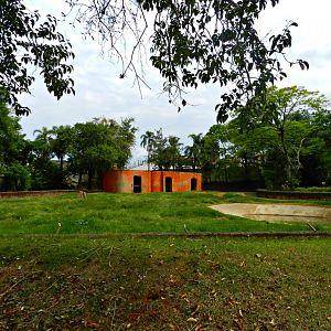 Asian elephant exhibit - Sorocaba zoo (PZMQB)