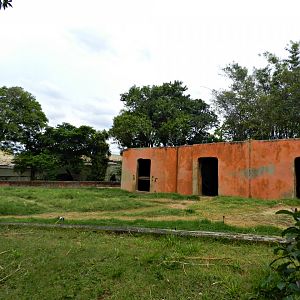 Asian elephant exhibit - Sorocaba zoo (PZMQB)