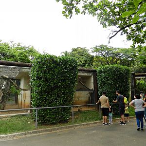 Small native mammals exhibits - Sorocaba zoo (PZMQB)