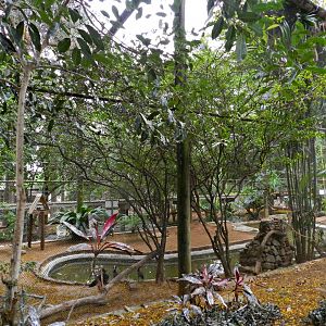 Walkthrough aviary - Sorocaba zoo (PZMQB)