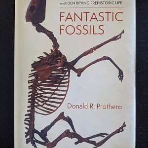 Fantastic Fossils - A Guide to Finding and Identifying Prehistoric Life