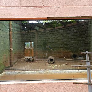 Coypu exhibit - Sorocaba zoo (PZMQB)