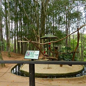 Scarlet macaw island - Zooparque Itatiba
