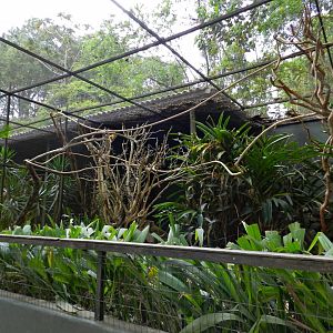 Golden parakeet exhibit - Zooparque Itatiba