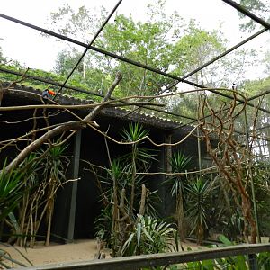 Toucan and turaco exhibit - Zooparque Itatiba