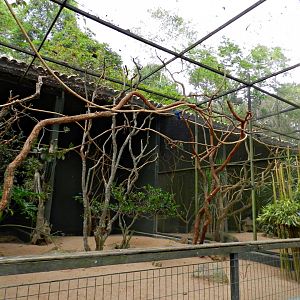 Various parrots/parakeets exhibit - Zooparque Itatiba