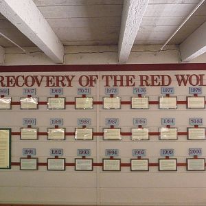 Red Wolf Exhibit - Conservation Signage