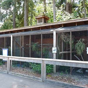 Birds Of Prey Aviaries