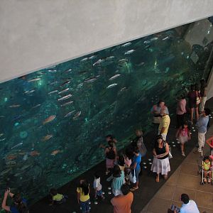 Window On Washington Waters Exhibit
