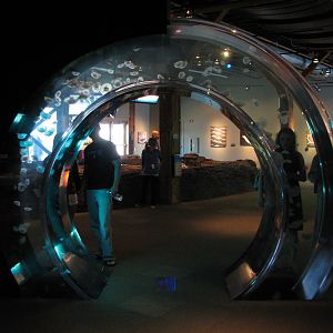 Life of a Drifter Exhibit