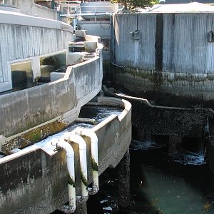 Salmon Ladder an 1977 Building Exterior
