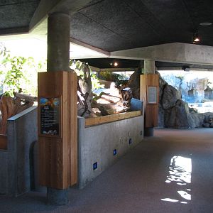 Shore Birds Exhibit