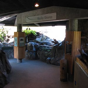 Shore Birds Exhibit