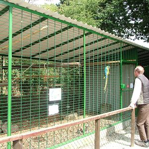 New macaw aviaries at Wetlands WP 02/08/09