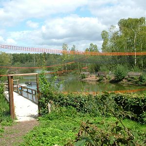 Duckery at Wetlands WP 02/08/09