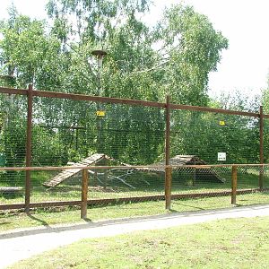 New coati enclosure at Wetlands WP 02/08/09