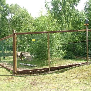 New coati enclosure at Wetlands WP 02/08/09