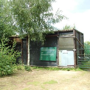 Yak stable at Wetlands WP 02/08/09