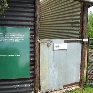 Yak stable at Wetlands WP 02/08/09