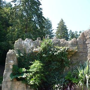 Asian Forest Sanctuary - Waterfall Panorama