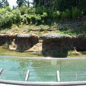Asian Forest Sanctuary - Waterfall Panorama