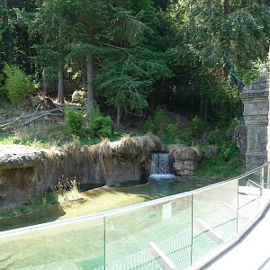 Asian Forest Sanctuary - Waterfall Panorama
