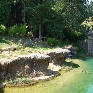 Asian Forest Sanctuary - Waterfall Panorama