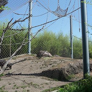 Asian Forest Sanctuary - Broadleaf Forest